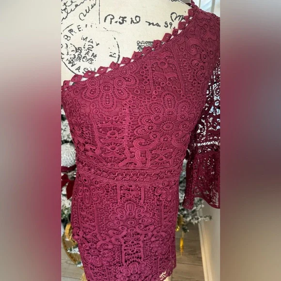 LULU’S Dreamy Date Burgundy Crochet Lace One-Shoulder Mini Dress - Picture 9 of 11